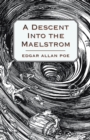 A Descent into the Maelstrom - Book