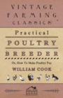 Practical Poultry Breeder - Or, How To Make Poultry Pay - eBook