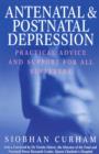 Antenatal And Postnatal Depression - eBook
