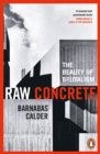 Raw Concrete : The Beauty of Brutalism - eBook
