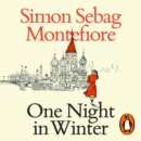 One Night in Winter - eAudiobook