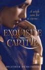 Exquisite Captive : Dark Passage Trilogy - eBook