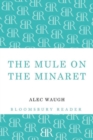 The Mule on the Minaret : A Novel about the Middle East - Book