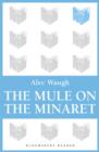 The Mule on the Minaret : A Novel about the Middle East - eBook