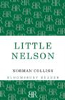 Little Nelson - Book