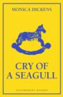 Cry of a Seagull - eBook