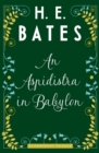 An Aspidistra in Babylon - eBook