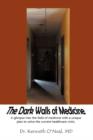 The Dark Walls of Medicine : A View from the Window - Book