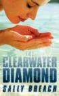 The Clearwater Diamond - Book