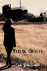Waking Ghosts - Book