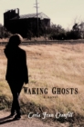Waking Ghosts - eBook