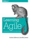 Learning Agile : Understanding Scrum, Xp, Lean, and Kanban - Book