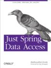 Just Spring Data Access : Covers JDBC, Hibernate, JPA and JDO - eBook