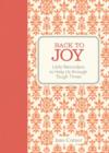 Back to Joy : Little Reminders to Help Us through Tough Times - Book