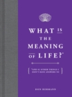 What Is the Meaning of Life? : And 92 Other Things I Don't Have Answers To - eBook