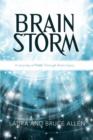 Brain Storm : A Journey of Faith Through Brain Injury - Book
