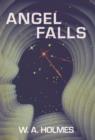 Angel Falls - Book