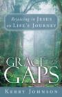 Grace for the Gaps : Rejoicing in Jesus on Life's Journey - Book