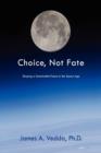 Choice, Not Fate : Shaping a Sustainable Future in the Space Age - Book