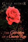 The Cultivation of a Concrete Rose - Book