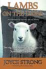 Lambs on the Ledge : Seeing and Avoiding Danger in Spiritual Leadership - Book