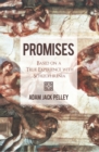 Promises : Based on a True Experience with Schizophrenia - eBook