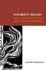 Systematic Theology, Volume 2 : The Doctrine of the Holy Trinity: Processions and Persons 2 - Book