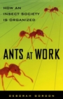 Ants At Work : How An Insect Society Is Organized - Book