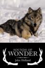 Sounds of Wonder - Book