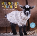 Baby Animals in Sweaters 2020 Wall Calendar - Book