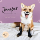 Juniper: The Happiest Fox 2020 Wall Calendar - Book