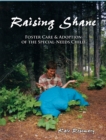 Raising Shane: Foster Care and Adoption of the Special Needs Child - eBook