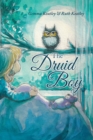 The Druid Boy - eBook