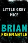 Little Grey Mice - eBook