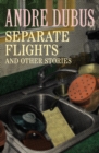 Separate Flights : And Other Stories - eBook