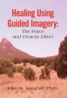 Healing Using Guided Imagery : The Force and Vivacity Effect - Book