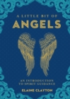 A Little Bit of Angels : An Introduction to Spirit Guidance - eBook