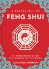 A Little Bit of Feng Shui : An Introduction to the Energy of the Home - eBook