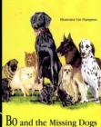 Bo and the Missing Dogs - eBook