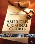 American Criminal Courts : Legal Process and Social Context - Book