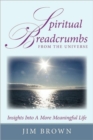 Spiritual Breadcrumbs from the Universe : Insights Into A More Meaningful Life - Book