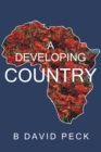 A Developing Country - eBook