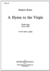 HYMN TO THE VIRGIN - Book