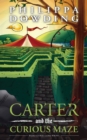 Carter and the Curious Maze : Weird Stories Gone Wrong - Book