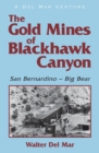 The Gold Mines of Blackhawk Canyon : San Bernardino - Big Bear - Book