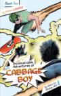 The Inconceivable Adventures of Cabbage Boy : Book 2: The Battle for Prico Hill - Book