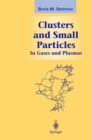 Clusters and Small Particles : In Gases and Plasmas - eBook
