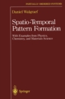 Spatio-Temporal Pattern Formation : With Examples from Physics, Chemistry, and Materials Science - eBook