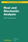 Real and Stochastic Analysis : New Perspectives - eBook