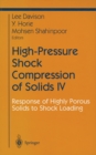 High-Pressure Shock Compression of Solids IV : Response of Highly Porous Solids to Shock Loading - eBook